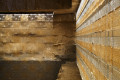 gallery 15