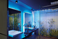 gallery 10